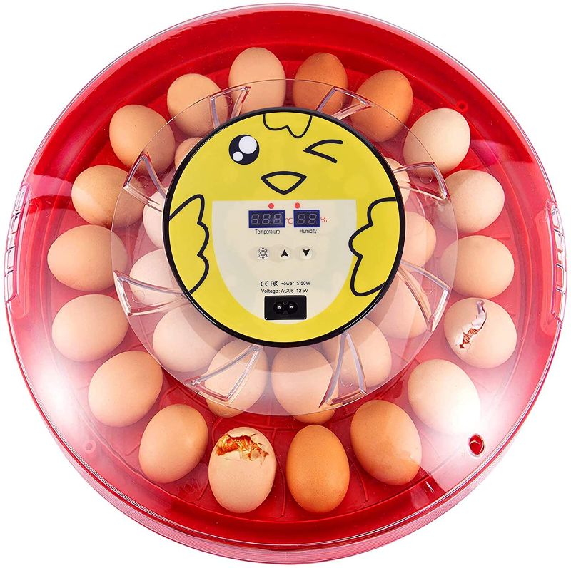 Photo 1 of **MISSING PARTS**
wuyule Egg Incubator 30 Eggs Digital Incubators for Hatching Eggs with Fully Automatic Egg Turning and Humidity Control LED Candler, Mini Egg Incubator Breeder for Chicken, Ducks, Birds & More
