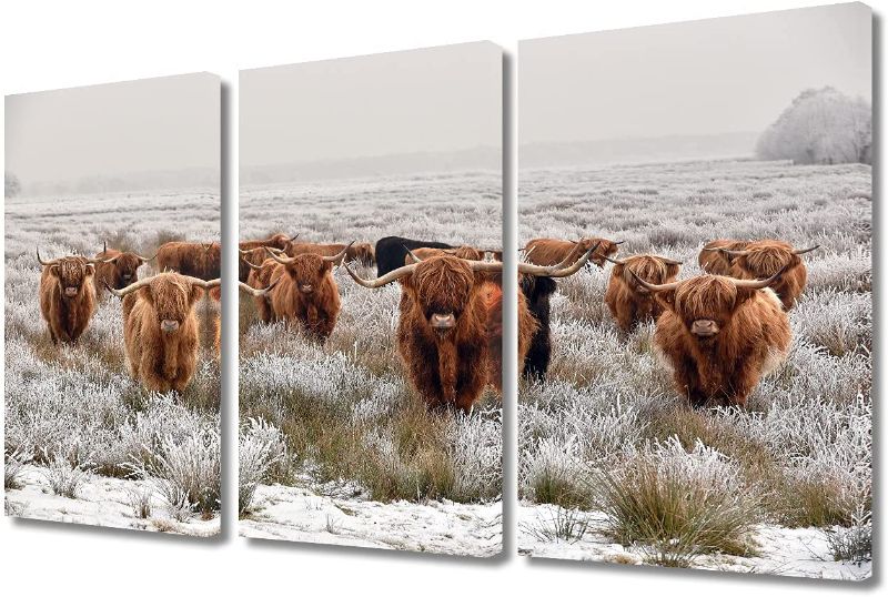 Photo 1 of **only left canvas**TUMOVO 3 Piece White Wall Art Brown Highland Cow Herd Painting Animals Pictures Print On Canvas Cattle with Big Horns The Picture Decor Oil for Home Modern Decoration for Living Room, 36" Wx24 H