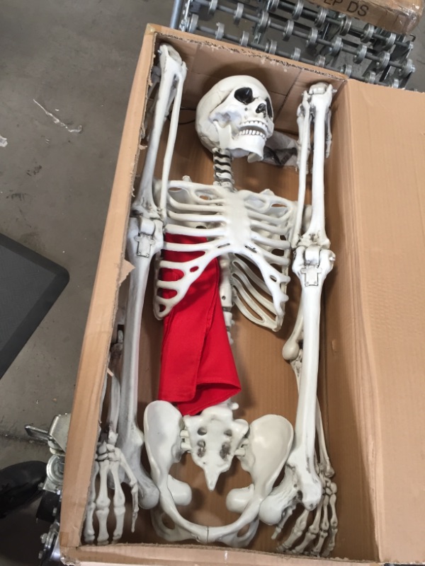 Photo 2 of 5 ft Pose-N-Stay Life Size Skeleton Full Body Realistic Human Bones with Posable Joints for Halloween Pose Skeleton Prop Decoration
