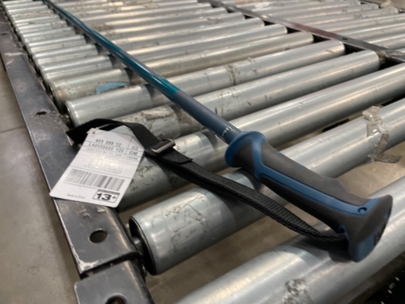 Photo 1 of Arctic Ski Pole

//one pole