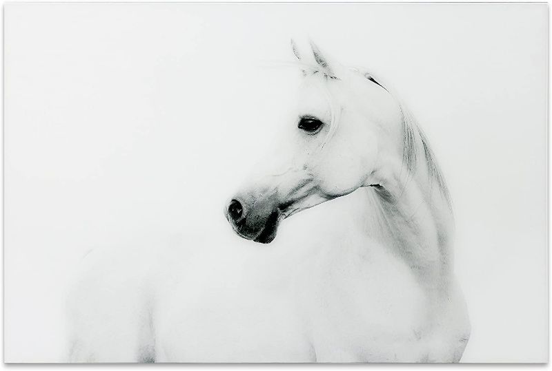 Photo 1 of 48 in. x 32 in. "Blanco Stallion Horse" Frameless Free Floating Tempered Glass Panel Graphic Art Wall Art