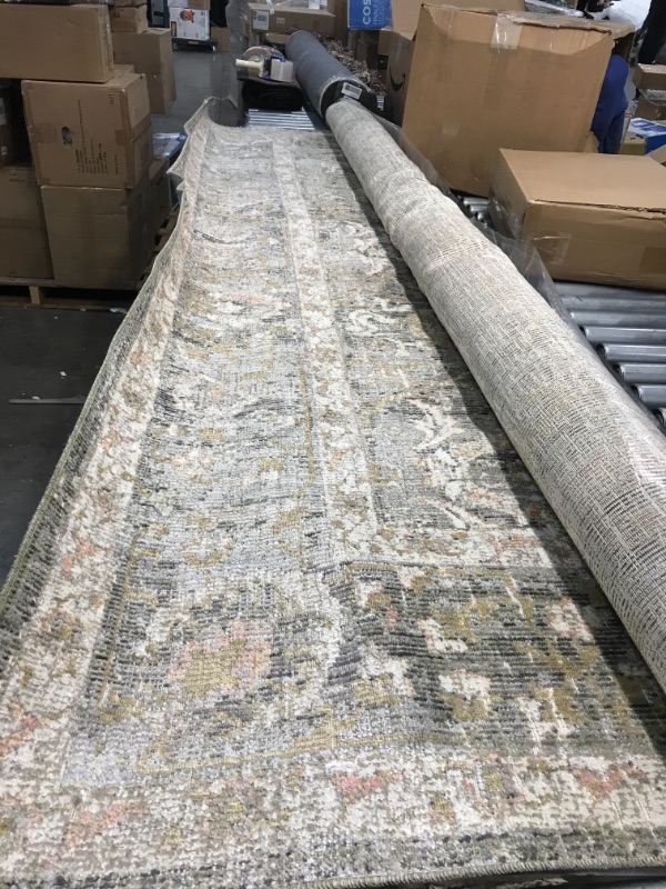 Photo 1 of 9 X 12 Ft. Rosemarie Power Loomed Traditional Rectangle Rug, Sage & Blush
