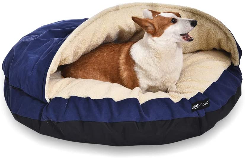 Photo 1 of Amazon Basics Medium Pet Cave Bed