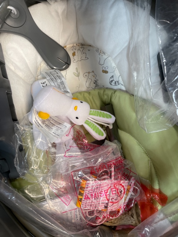 Photo 1 of Graco DuoGlider Gliding Baby Swing, Rascal