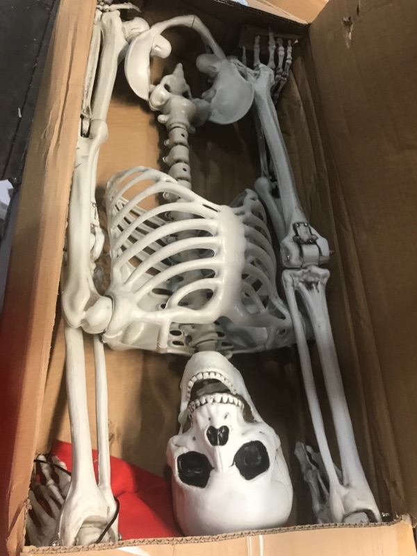 Photo 2 of 5 ft Pose-N-Stay Life Size Skeleton Full Body Realistic Human Bones with Posable Joints for Halloween Pose Skeleton Prop Decoration
