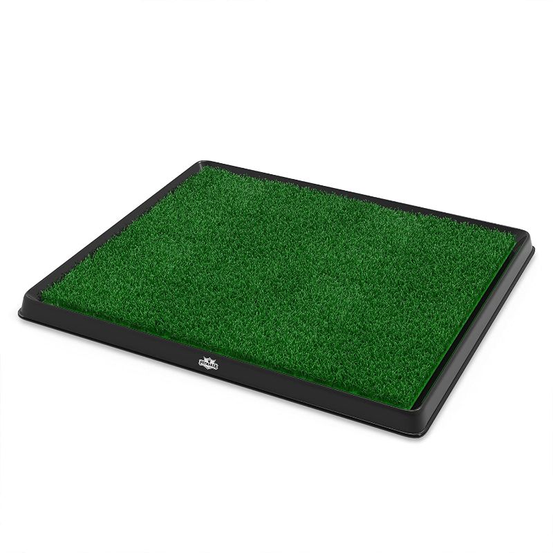 Photo 1 of Artificial Grass Puppy Pad Collection - for Dogs 