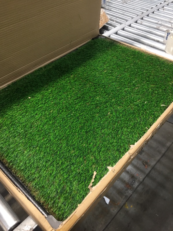 Photo 2 of Artificial Grass Puppy Pad Collection - for Dogs 