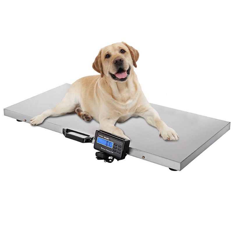 Photo 1 of  Digital Livestock Scale Stainless Steel Large Platform 660 lbs  scale platform