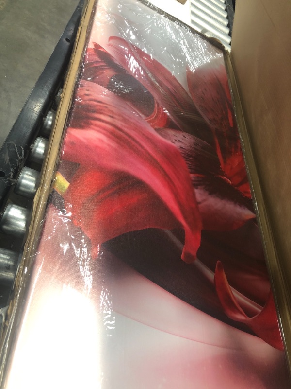 Photo 1 of Meigan Art-Large Canvas Picture Wall Art Prints Floral Paintings Panel Red Flowers Decor Artwork (RedFlower,M)
