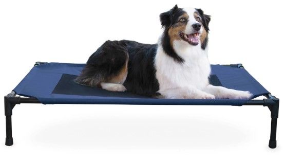 Photo 1 of  Elevated Pet Bed Navy Blue Large 30x42x7