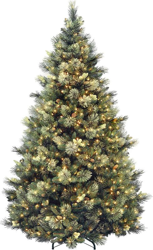 Photo 1 of ***PARTS ONLY*** National Tree Carolina Pine Tree with Clear Lights , 7.5 Feet
61 x 61 x 90 inches
