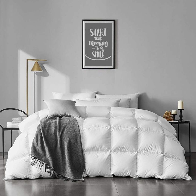 Photo 1 of 
APSMILE Lightweight Feather Down Comforter King Size - 100% Organic Cotton Quilted Thin All-Season Goose Feather Down Duvet Insert for Warm Weather/Hot...
Size:King / Lightweight
Color:Ivory White