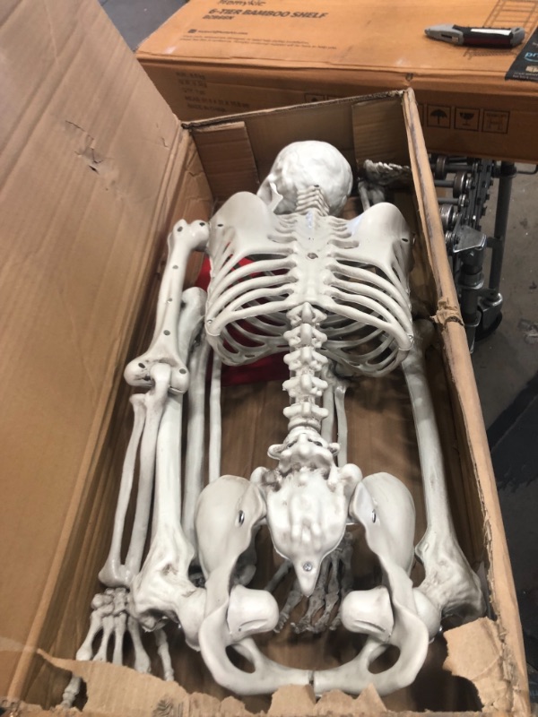 Photo 3 of 5 ft Pose-N-Stay Life Size Skeleton Full Body Realistic Human Bones with Posable Joints for Halloween Pose Skeleton Prop Decoration