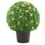 Photo 1 of 22" Mini Boxwood Ball Shaped Topiary Tree in Round Growers Pot with 70 Clear Lights
**HALF OF THE LIGHTS DO NOT TURN ON**