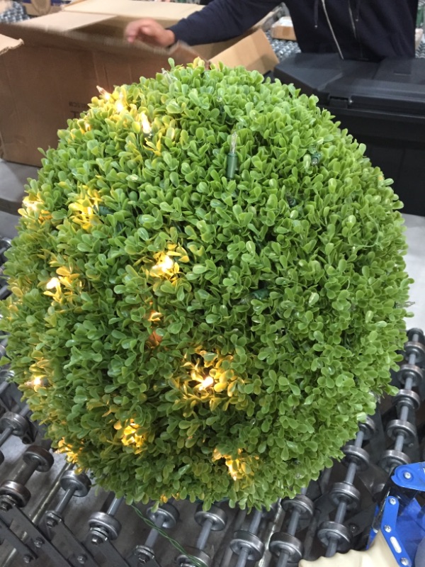 Photo 2 of 22" Mini Boxwood Ball Shaped Topiary Tree in Round Growers Pot with 70 Clear Lights
**HALF OF THE LIGHTS DO NOT TURN ON**