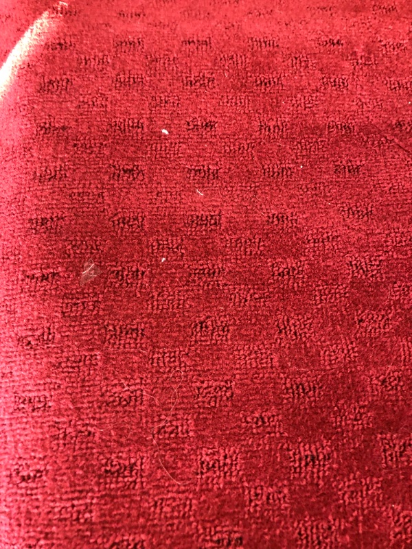 Photo 1 of 8' X 3' AREA RUG RED
**STOCK IMAGE NOT FOUND**