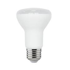 Photo 1 of 75-Watt Equivalent R20 Dimmable ENERGY STAR LED Light Bulb Soft White 2700K (2 3-Packs)
