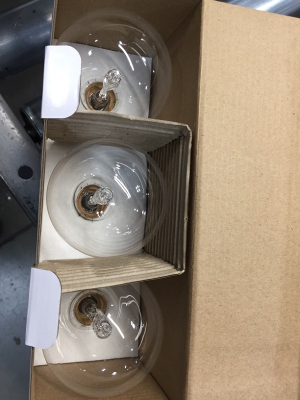 Photo 2 of Philips 60-Watt Equivalent G25 Halogen Clear Decorative Globe Light Bulb PACK OF 12
