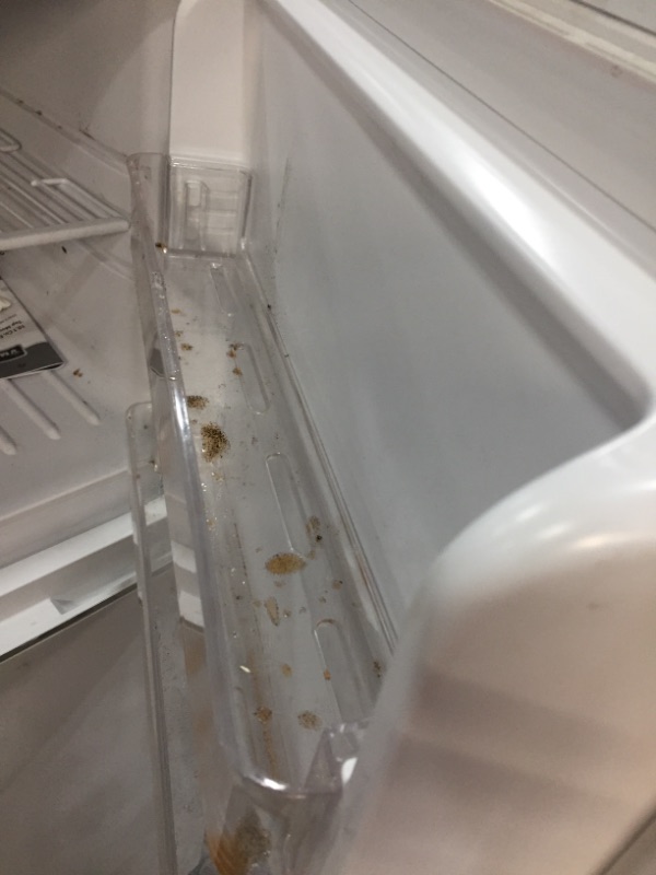 Photo 9 of *Growing mold inside* *For parts only* *Damage shown in pictures*
10.1 cu. ft. Top Freezer Refrigerator in White
