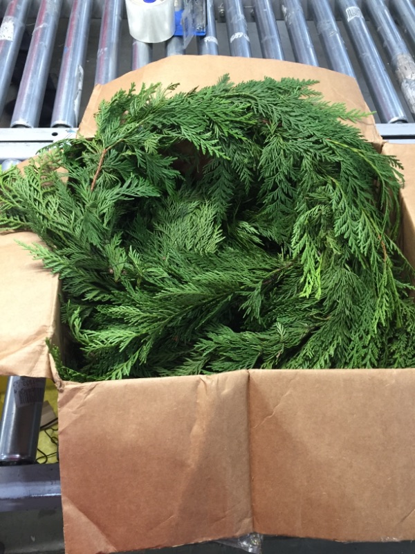 Photo 2 of 12' Fresh Live & Fragrant Incense Cedar Garland
