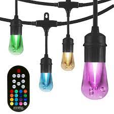 Photo 1 of 12-bulb 24 ft. Vintage Seasons Color Changing Cafe Integrated LED String Lights, Black
