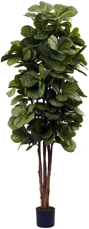 Photo 1 of Nearly Natural 6ft Fiddle Leaf Fig Artificial Trees, 72in, Green
