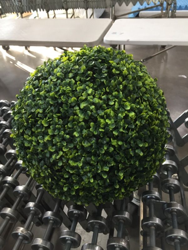 Photo 2 of Artificial Boxwood Ball 20"
