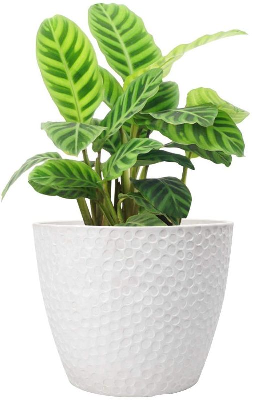 Photo 1 of 2PC BEEHIVE POTS 10 WIDE X 8 HEIGHT  INCHES- 7 WIDE X 6 HEIGHT INCHES