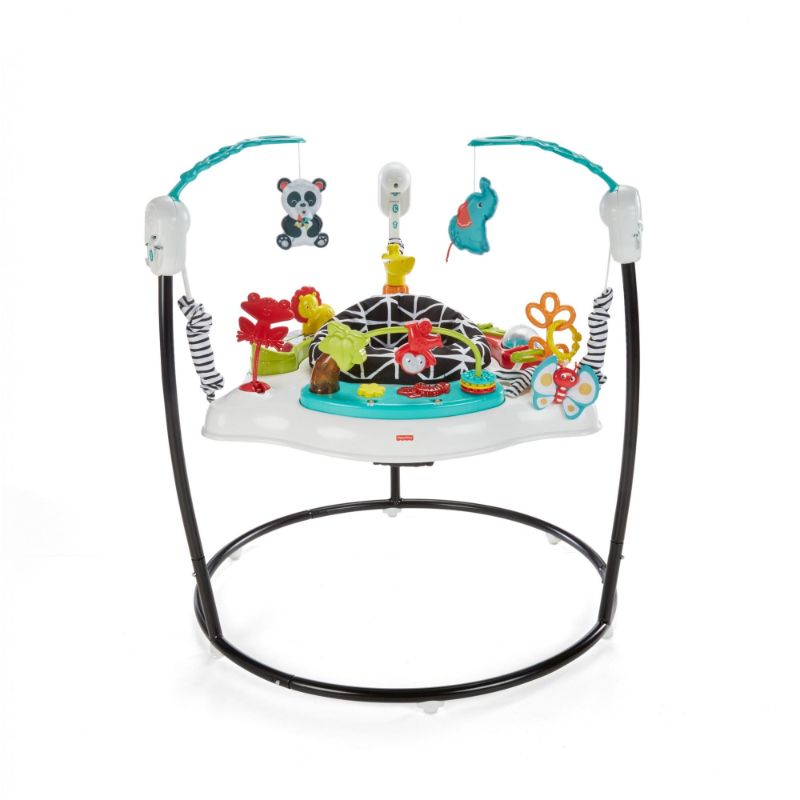 Photo 1 of Fisher-Price Animal Wonders Jumperoo, White
