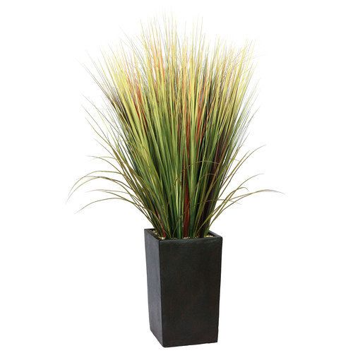 Photo 1 of 60" Tall Onion Grass Artificial Faux Lifelike in Fiberstone Planter by Minx NY
