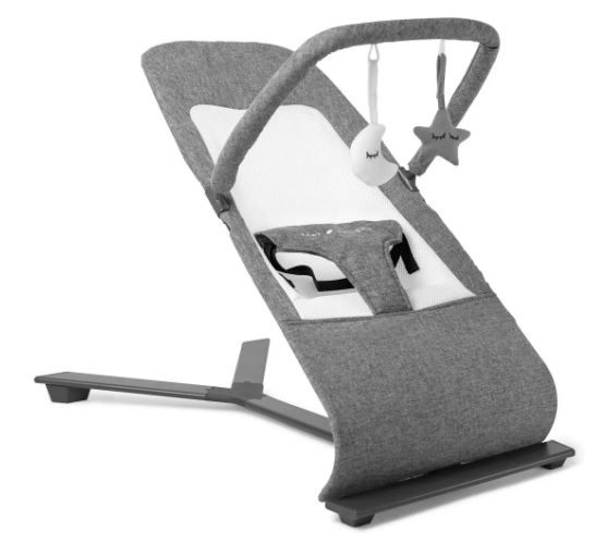 Photo 1 of Baby Delight Alpine Deluxe Portable Bouncer
