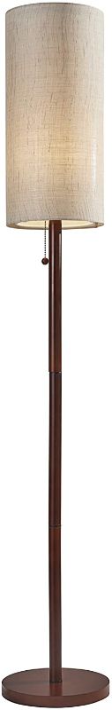 Photo 1 of Adesso Home 3338-15 Transitional One Light Floor Lamp from Hamptons Collection in Bronze/Dark Finish, 65 in
