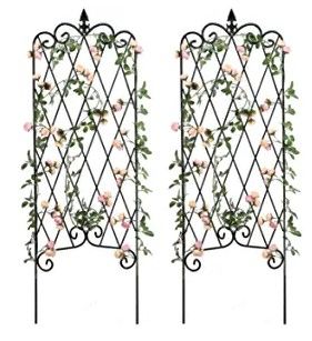 Photo 1 of Amagabeli 2 Pack Garden Trellis for Climbing Plants 60" x 18" Rustproof Black Iron Potted Vines Vegetables Vining Flowers Patio Metal Wire Lattices Grid Panels for Ivy Roses Cucumbers Clematis GT04
