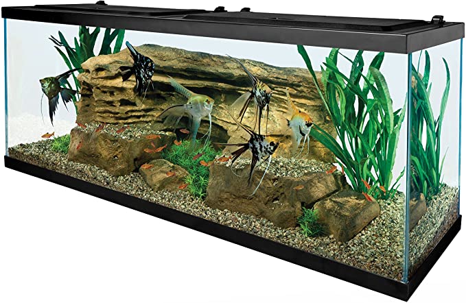 Photo 1 of Aqua Culture 55-Gallon Glass Fish Tank LED Aquarium Kit