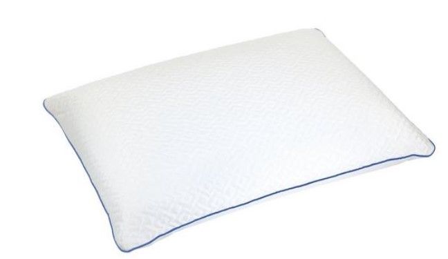 Photo 1 of Memory Foam Bed Pillow - Sealy 28 x 16in 