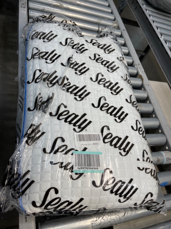 Photo 1 of Memory Foam Bed Pillow - Sealy 28 x 16in 