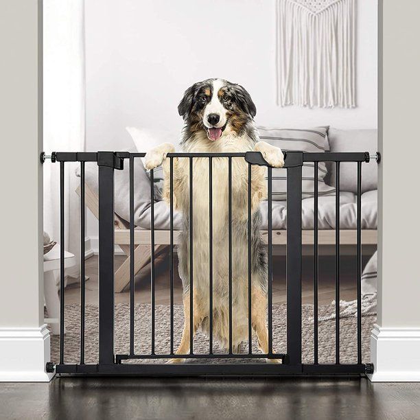 Photo 1 of Cumbor 46”Auto Close Safety Baby Gate, Extra Tall and Wide Child Gate, Easy Walk Thru Durability Dog Gate for The House, Stairs, Doorways. Includes 4 Wall Cups, 2.75-Inch and 8.25-Inch Extension-black
