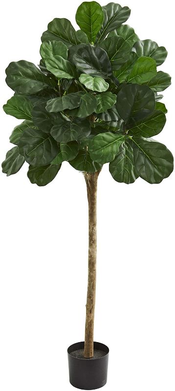 Photo 1 of 6ft. Fiddle Leaf Fig Artificial Tree
