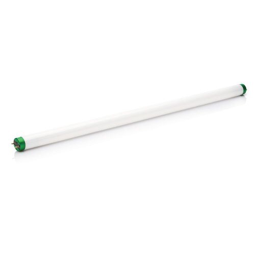 Photo 1 of 3000006 15W T8 1 Dia. X 18 in. Soft White Fluorescent Bulb Linear, 1000 Lumens 
($10.42 x 2)