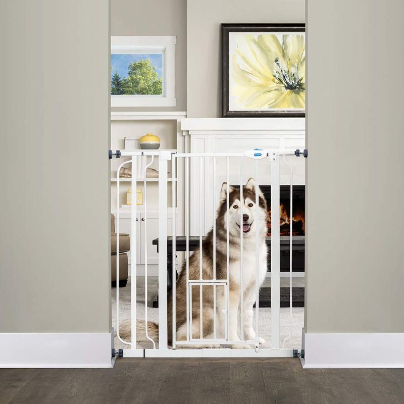 Photo 1 of Carlson Extra Tall Walk Through Pet Gate with Small Pet Door, Includes 4-Inch Extension Kit, 4 Pack Pressure Mount Kit and 4 Pack Wall Mount Kit