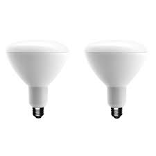 Photo 1 of 75-Watt Equivalent BR40 Dimmable ENERGY STAR LED Light Bulb Bright White (2-Pack)
