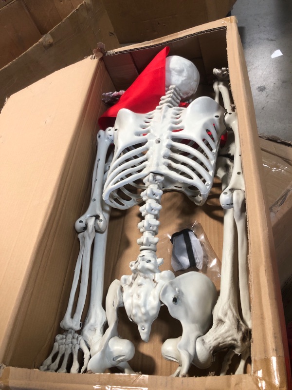 Photo 2 of 5 ft Pose-N-Stay Life Size Skeleton Full Body Realistic Human Bones with Posable Joints for Halloween Pose Skeleton Prop Decoration
