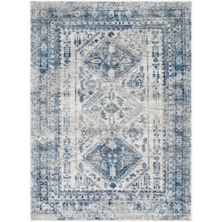 Photo 1 of 7'10" X 10'2"- Monte Carlo Rectangle Traditional Rug, Sky Blue/ Light Gray/ White
