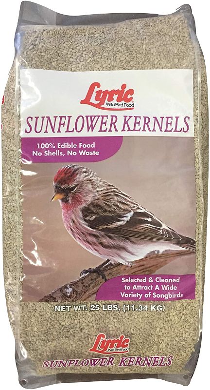 Photo 1 of Lyric 2647446 Sunflower Kernels - 25 lb.
