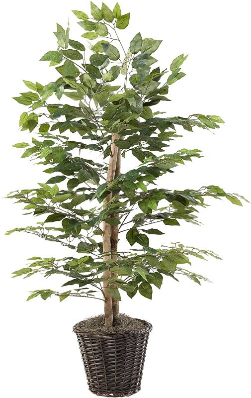 Photo 1 of 4 Artificial Ficus Bush - VickermanVickerman