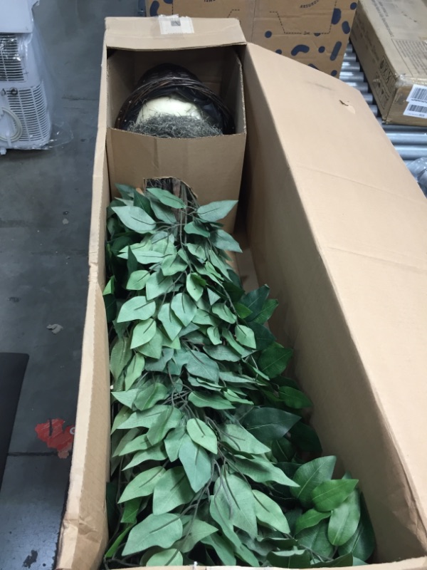 Photo 2 of 4 Artificial Ficus Bush - VickermanVickerman