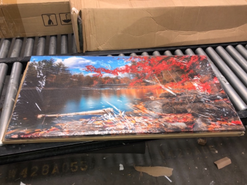 Photo 1 of 40 X 20 INCHES FALL  CANVAS WITHLAKE