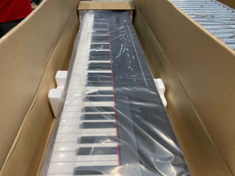 Photo 3 of Alesis Recital , 88-Key Beginner Digital Piano with Full-Size Semi-Weighted Keys