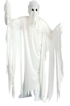 Photo 1 of Rubie's Ghost Robe Costume
