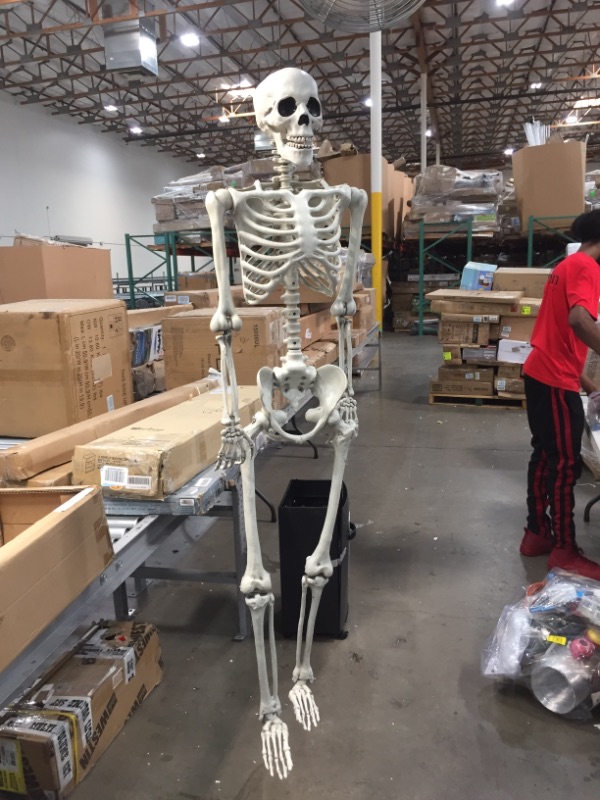 Photo 2 of 5 ft Pose-N-Stay Life Size Skeleton Full Body Realistic Human Bones with Posable Joints for Halloween Pose Skeleton Prop Decoration
